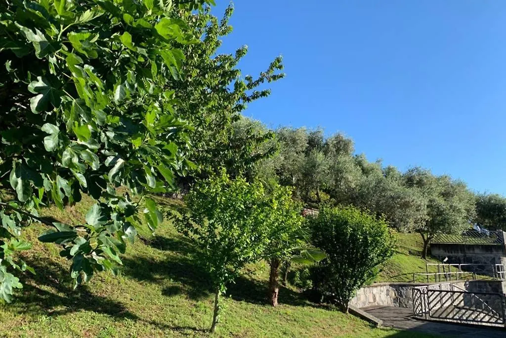펜션 Cozy House On Iseo Lake 폰테노